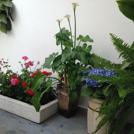 Patio San Lorenzo Кордоба Екстериор снимка