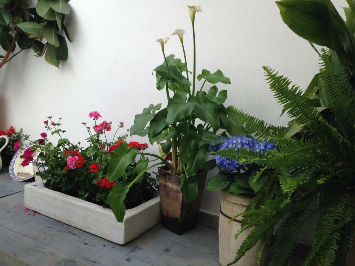 Patio San Lorenzo Кордоба Екстериор снимка