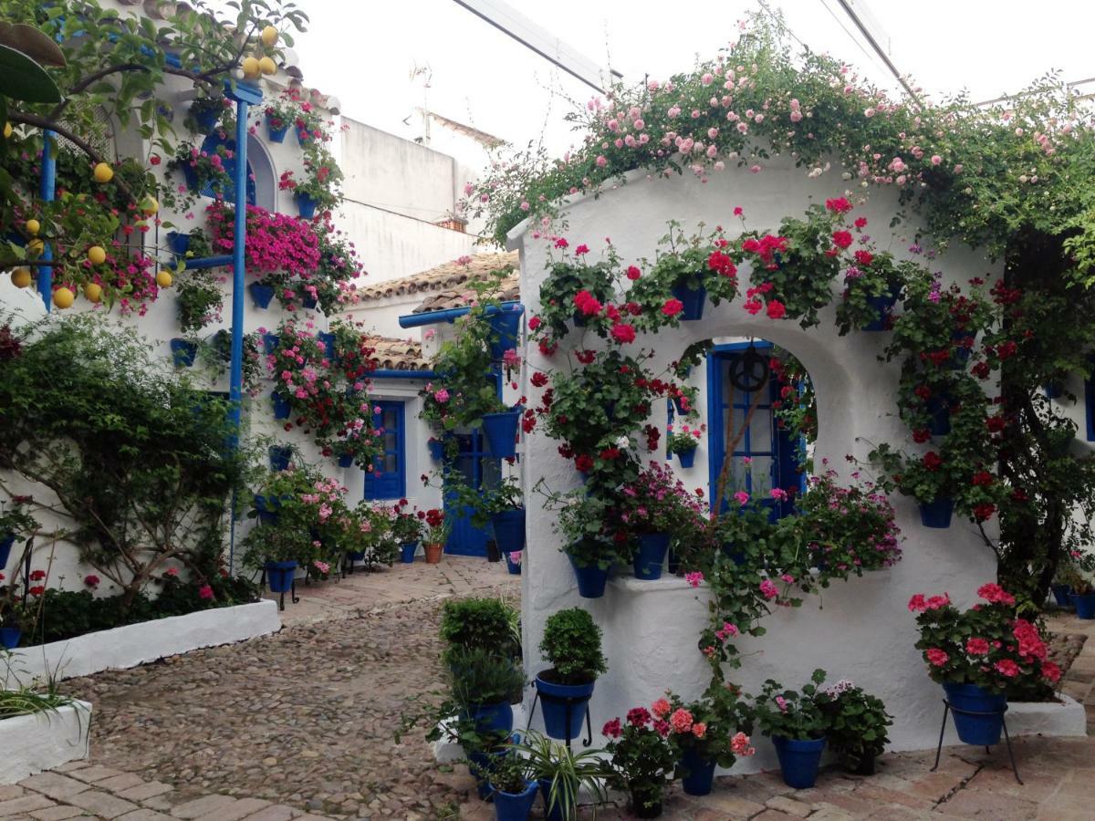 Patio San Lorenzo Кордоба Екстериор снимка