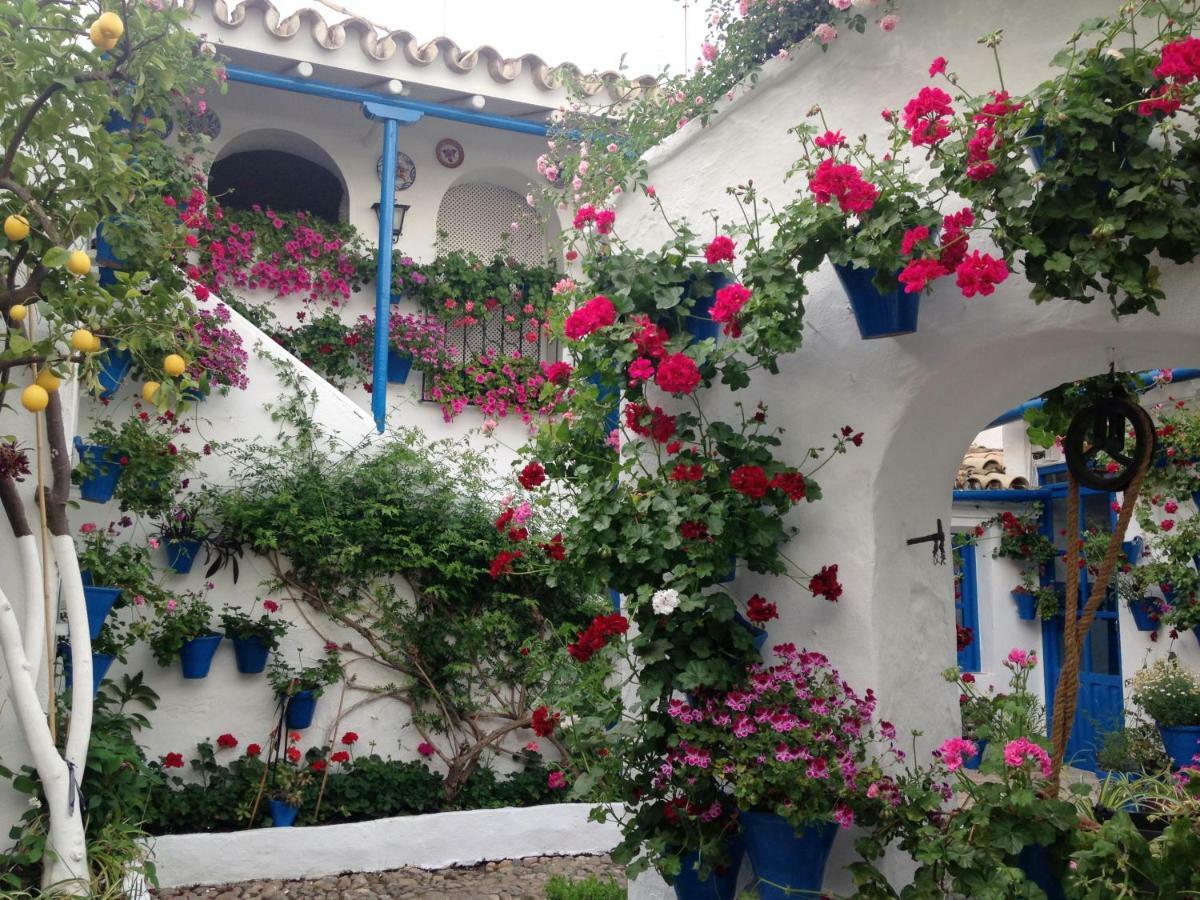 Patio San Lorenzo Кордоба Екстериор снимка